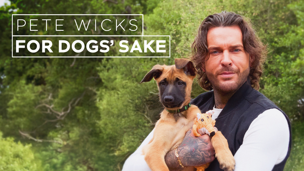 Pete Wicks: For Dogs' Sake
