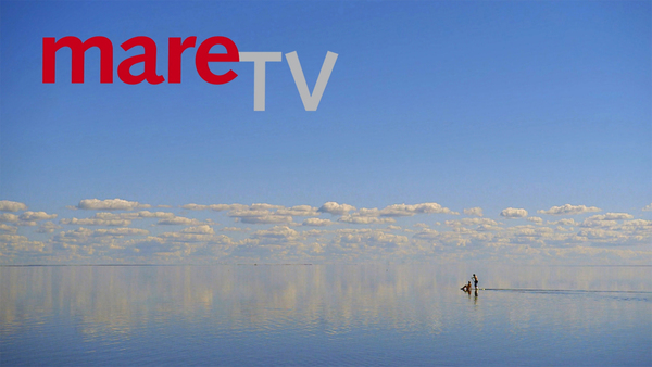 mareTV