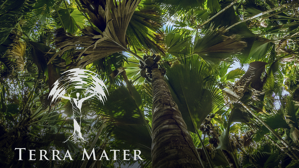 Terra Mater