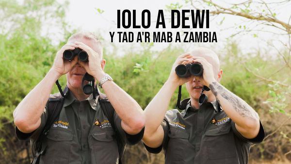Iolo a Dewi: Y Tad a'r Mab a Zambia