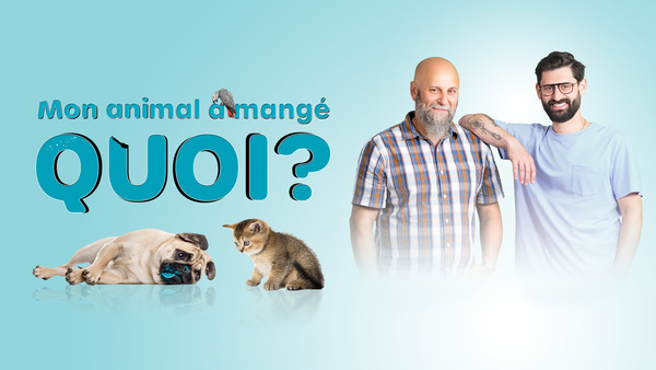 Mon animal a mangé quoi?