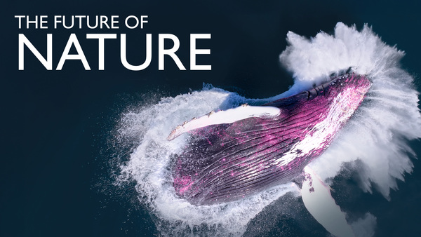 The Future of Nature
