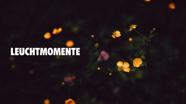 Leuchtmomente