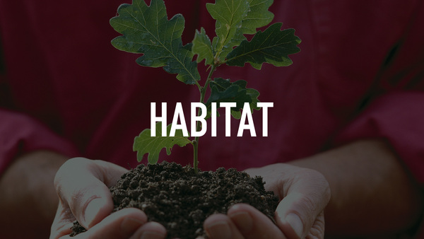 Habitat