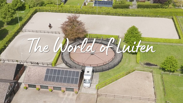 De Wereld Van Luiten