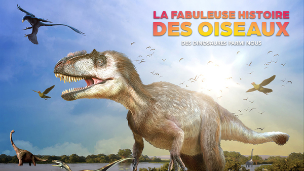 La fabuleuse histoire des oiseaux, des dinosaures parmi nous