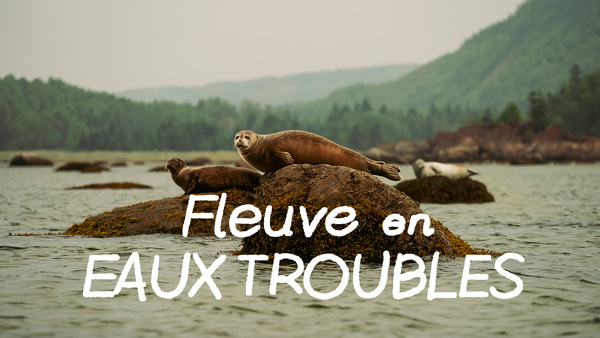 Fleuve en eaux troubles