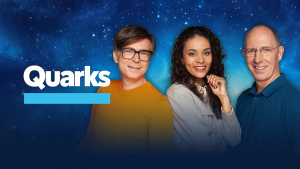 Quarks