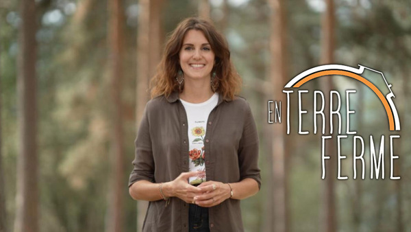 En Terre ferme