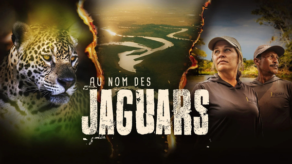 Au nom des jaguars