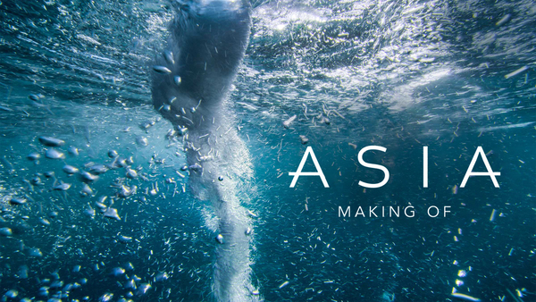 Asia: Making Of