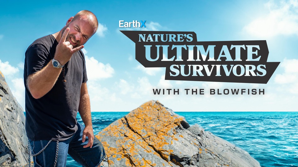 Nature's Ultimate Survivors With the Blowfish