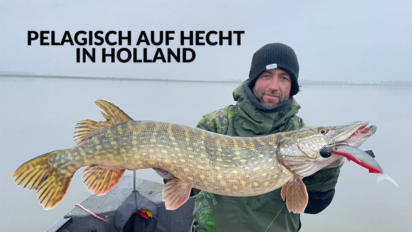Pelagisch auf Hecht in Holland