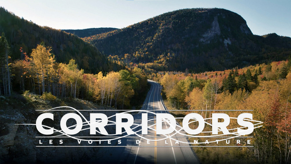 Corridors: les voies de la nature