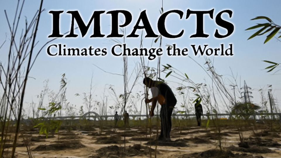 IMPACTS:Climates Change the World