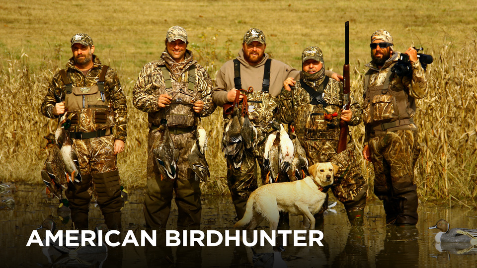 American Bird Hunter