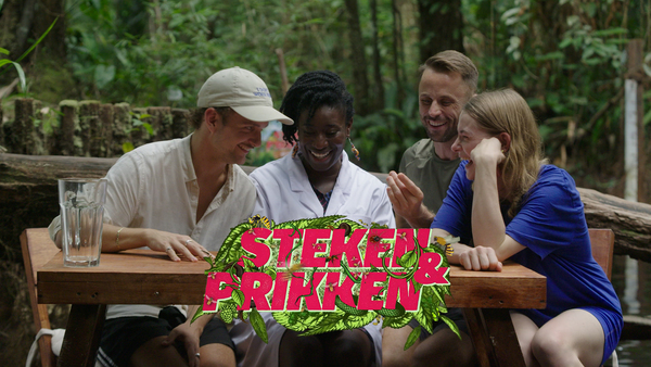 Steken en Prikken in Suriname