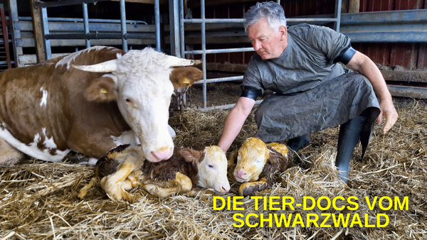 Die Tier-Docs vom Schwarzwald