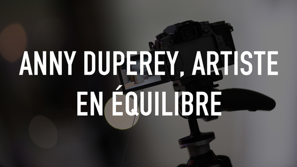 Anny Duperey, artiste en équilibre