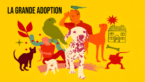 La grande adoption
