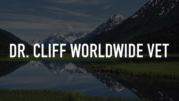 Dr. Cliff Worldwide Vet