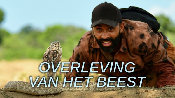 Overleving van het beest