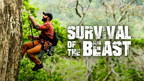 Survival of the Beast