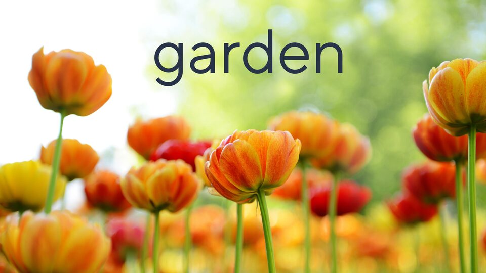 Live: Girl Next Door Gardening -- Sale & Clearance
