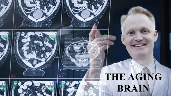 The Aging Brain