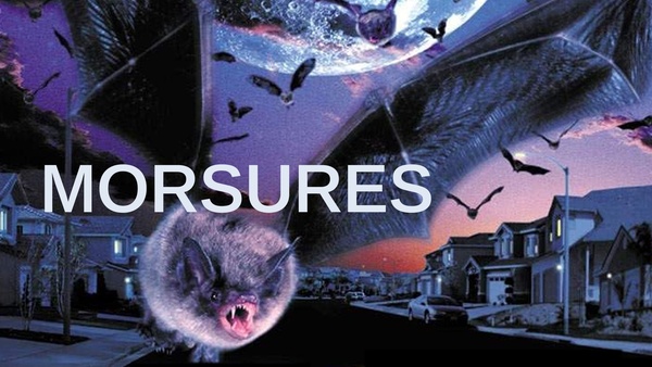 Morsures