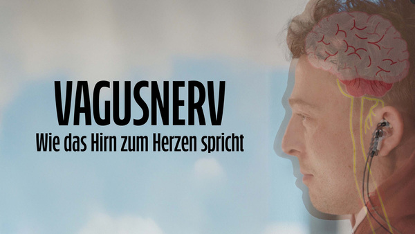 Vagusnerv: Wie das Hirn zum Herzen spricht