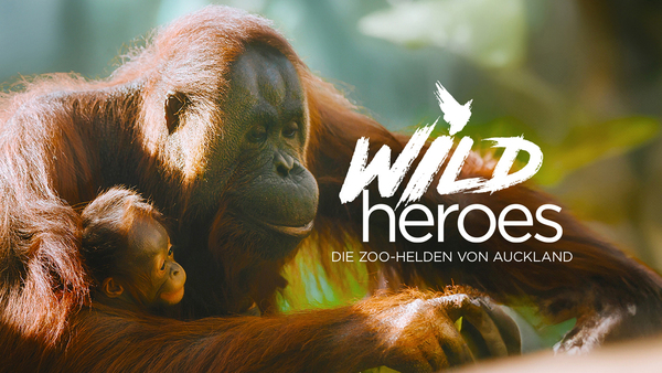 Wild Heroes: Die Zoo-Helden von Auckland