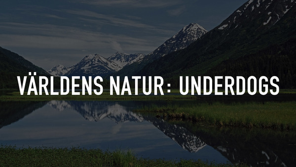 Världens natur: Underdogs
