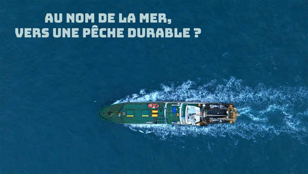 Au nom de la mer, vers une pêche durable ?