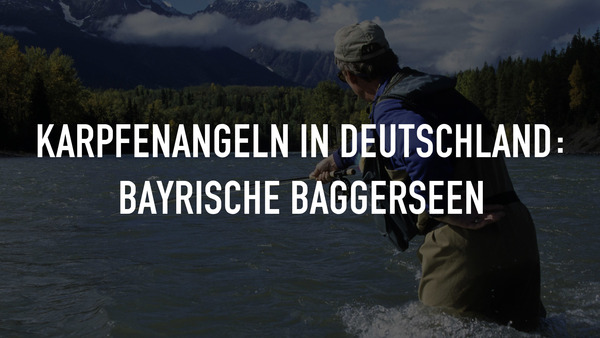 Karpfenangeln in Deutschland: Bayrische Baggerseen
