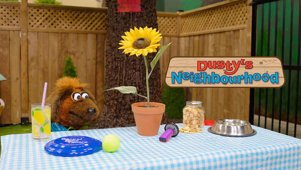 Dusty's Neighbourhood