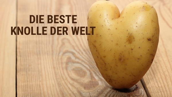 Die beste Knolle der Welt