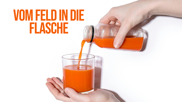 Vom Feld in die Flasche