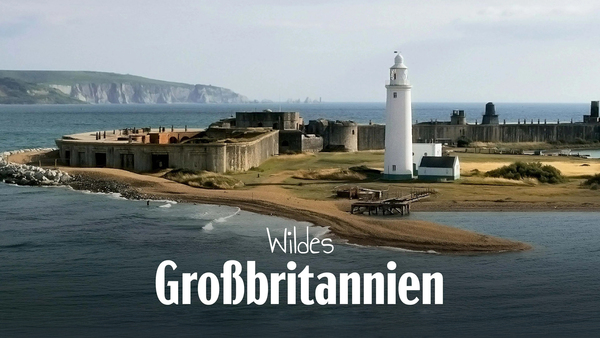 Wildes Großbritannien