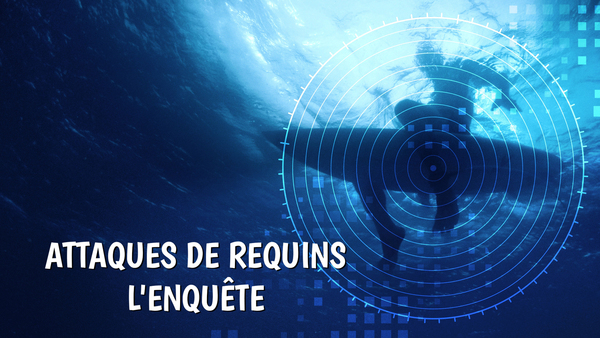 Attaques de requins: l'enquête