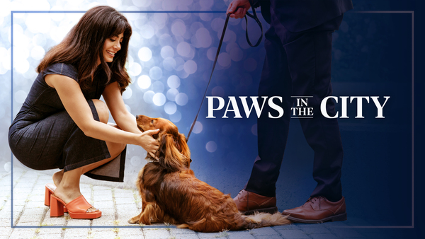 Paws in the City