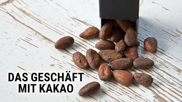 Das Geschäft mit Kakao
