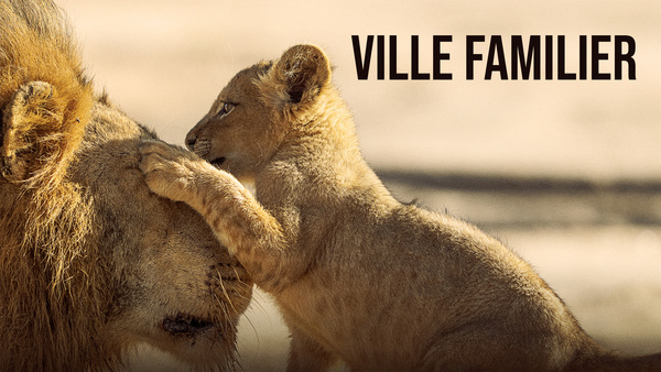 Ville familier