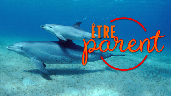 Être parent