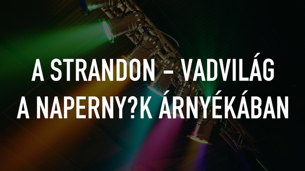 A strandon - Vadvilág a napernyők árnyékában