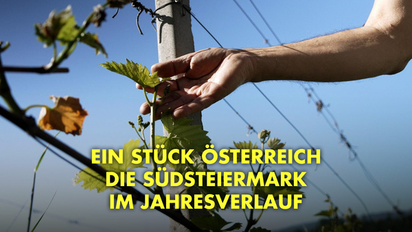 Ein Stück Österreich - Die Südsteiermark im Jahresverlauf