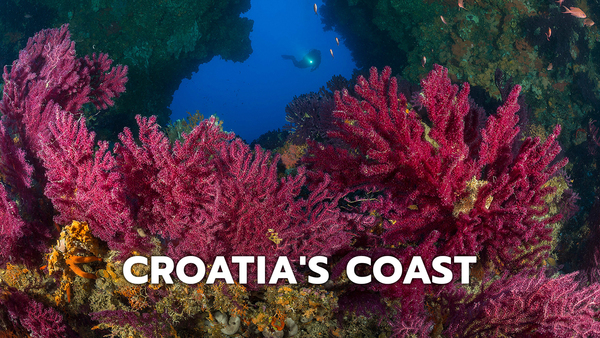 Croatias Coast - Endless and Wild