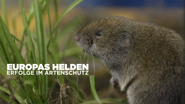 Europas Helden - Erfolge im Artenschutz
