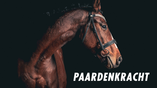 Paardenkracht