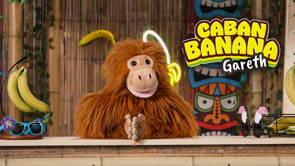 Caban Banana Gareth yr Orangutan